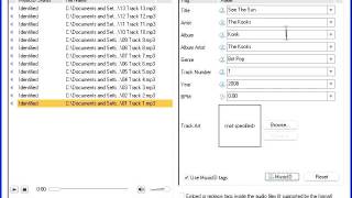 Edit Audio Tags Automatically