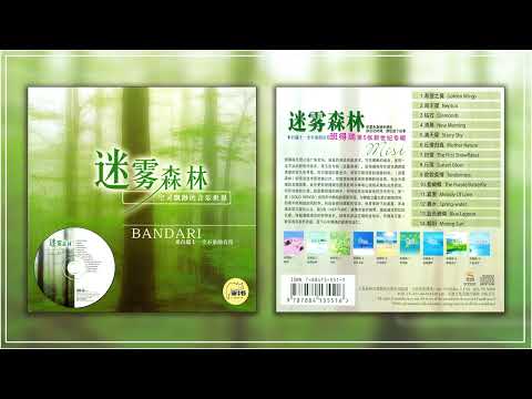 班得瑞 2002 放松音乐《迷雾森林 Forest Mist》