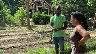 We Never expected to See this in Africa! 🇬🇲| We visited my Farm Gambia Ep2