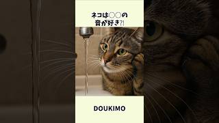 ネコが喜ぶ名前は○○⁉️