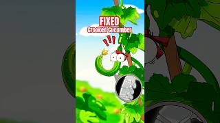 How This Weird Trick FIXED a Crooked Cucumber #cucumber #animation