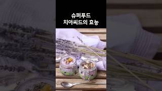 슈퍼푸드 치아씨드의 효능