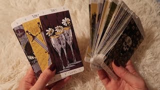 ASMR Tarot Deck Collection ☾ Soft Spoken