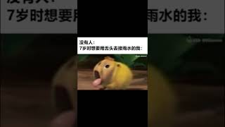 雨水【梗圖 迷因 】 memes