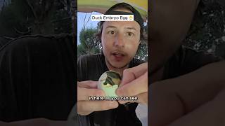 BALUT! in the Philippines 🇵🇭 #streetfood #balut