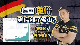 关于德国电价的12个问题...看完这个视频就全懂了