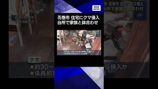 【ニュース】住宅にクマ侵入 台所で家族と鉢合わせ　岩手・花巻市#shorts