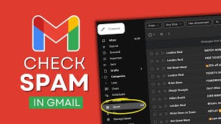 How to Check Spam Folder in Gmail (2024)