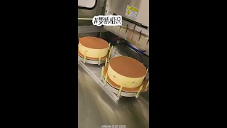#矢口乎 #炒鸡好看小说 #好看又过瘾的小说推荐