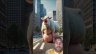 Beautiful story of a cow 🐄 and a bear 🐻 #youtubeshorts #ai #shorts #viralshort #animals #ytshortsai