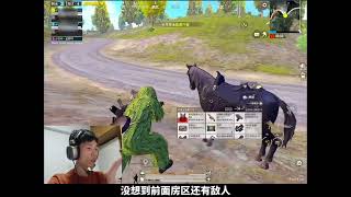 #鲨鱼哟syy #和平精英动物丛林 #和平精英战场进化 #和平精英 #鲨雕哟sdy