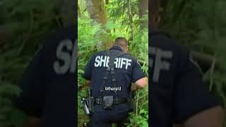 Police Dog Tracks Suspect in Woods #cops #copstvshow #police #policedog