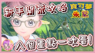 【新手必看】前期開荒攻略，八個重點一次看! | 寶可夢朱紫 | 地圖標示意思 | 主線路線玩哪個 | 建議的系統設定