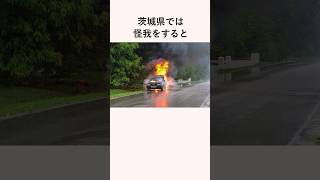 茨城の雑学・あるある【魅力度47位にグレる県公式がおもしろすぎる】 #雑学 #1分雑学 #県民あるある