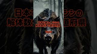 日本で最もイノシシの解体数が多い都道府県Top3 #イノシシ #雑学 #shorts