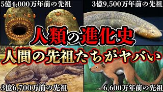 【ゆっくり解説】 人類の進化経路がヤバい~カンブリア紀から現在までの人類進化史~人類の祖先、最古の祖先とは?【古代生物】