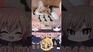 【ゆっくり実況】大物入荷しました！！！！【癒し動画 #猫】
