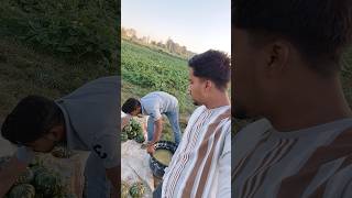 Desi vlogs...#desi #desivoice #trending #youtubeshorts #viralvideo #love #shorts