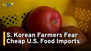 South Korean Farmers Fear Cheap U.S. Imports as Tariff Deadline Looms｜TaiwanPlus News