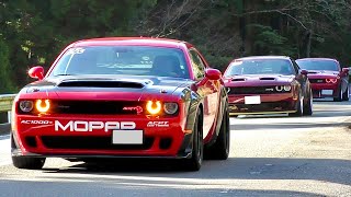 【American car】Cool Dodge Challengers. "exhaust sound"