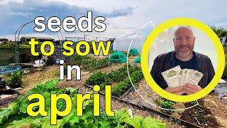 Seeds to Sow in April – What to Plant This Month for a Thriving Garden! 🌱