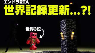 世界記録大幅更新のはずが... エンドラRTA史上最大の悲劇を解説します