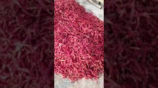 🔥 India’s Finest Red Chilli Exporter – Omkar International 🔥