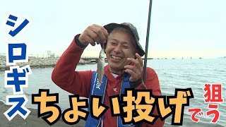 【シロギス】波打ち際からの“ちょい投げ”でシロギスを狙え！【ロンブー亮の釣りまか！237】