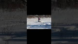 We Can't Ever Get Enough! #foryou #shorts #yamaha #polaris #finntrail #sleds #snowmobile