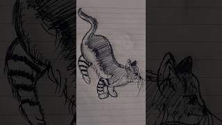 Cat sketch #drawing #sketching #art #doodleart #doodle