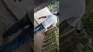 tabla songs comedy videos #songs #topbest #top