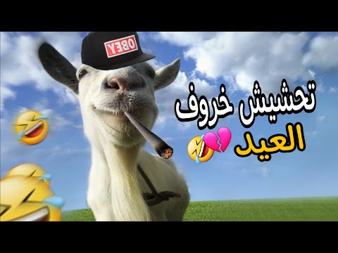 تحشيش الماعز المجنون 🤣/الانتقام من البشرية؟؟🤣💔+ عيد مبارك للجميع🔥❤️❤️