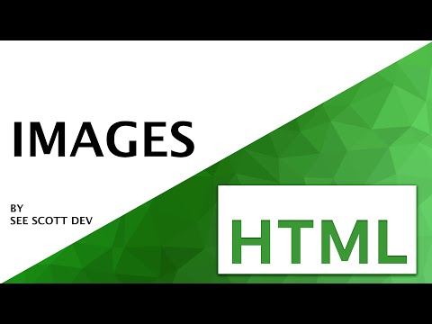 HTML Images + File Referencing | HTML Step by Step Beginners Course