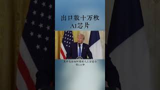 出口數十萬枚AI芯片