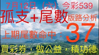 今彩539｜孤支+尾數｜牛哥539｜2025年7月12日（六）今彩539孤支尾數版路分析｜#539