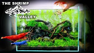 FULL AQUARIUM BUILD - The Shrimp Valley: Nano Neocaridina Shrimp Tank