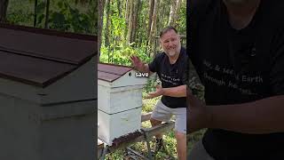 Our Beehive SWARMED! Too Much HONEY!