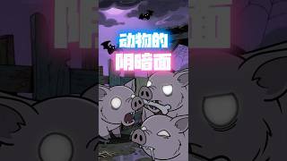 可爱动物的阴暗面 #猎奇 #动物的迷惑行为 #原创动画