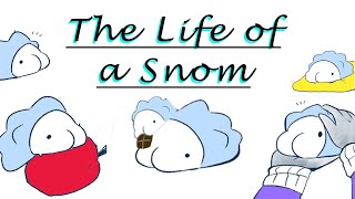The Life of a Snom (Pokemon Sword and Shield Comic Dub)