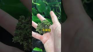 五種 特別的青蛙🤯 #科普 #知識 #動物 #tiktokanimals
