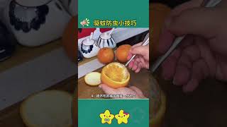 驱蚊防虫小技巧#科普 #知识渊博#好物推荐#百科密码