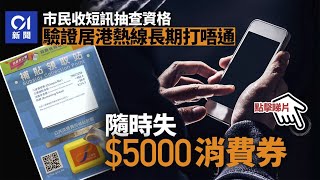【5000元消費券】政府委託德勤抽查居港證明　申請人打唔通熱線或無法領取｜01新聞