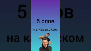 знаешь ли ты эти 5 слов на казахском? #казахскийязык #учимказахский #казахстан