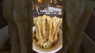 🍜自家製のもちもち極太麺が美味い🍜千葉に新しくオープン🍜らーめん木陰🍜塩らーめん＋チャーシュー＋海老ワンタン🍜千葉県四街道市