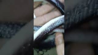 toys surprise snake rs 100 #toy #techtoys #techtoys #surprisetoys #barbie #amazin #surprisetoy