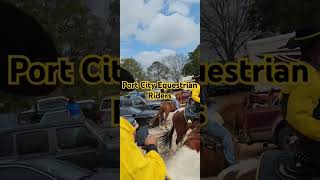 Horses and Mardi Gras 2025 #starttofinish #paradecowboys #horses #mamgamardigras