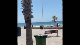 Calpe sightseeing tour #calpe #calpesightseeing