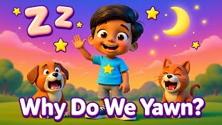 Why Do We Yawn? 😴 Fun Science for Curious Kids! Toddler Educational Video | Learning Science