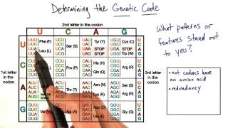 Genetic Code - Tales from the Genome