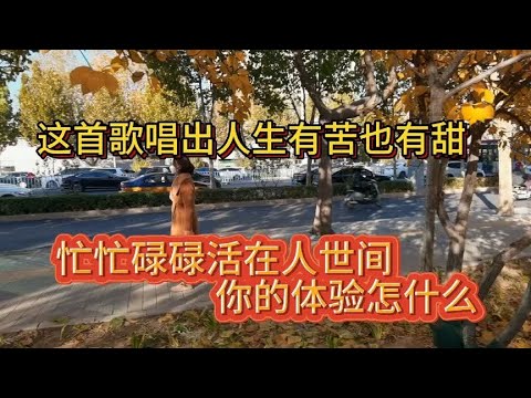 这首歌唱出人生有苦也有甜，忙忙碌碌活在人世间，你的体验是什么